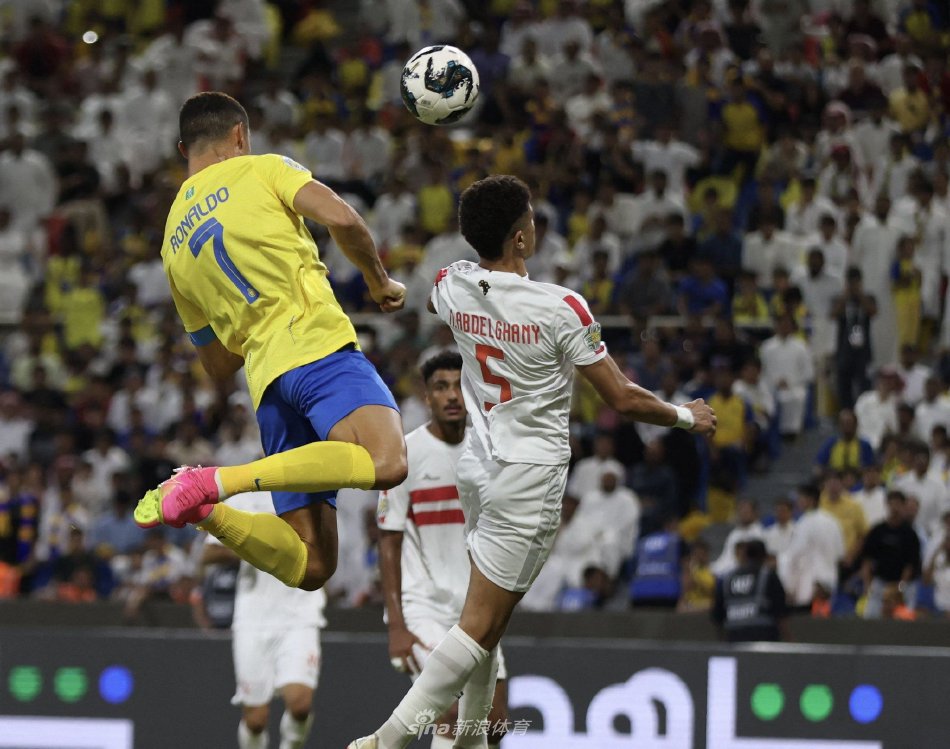 的活力和动 的活力和动